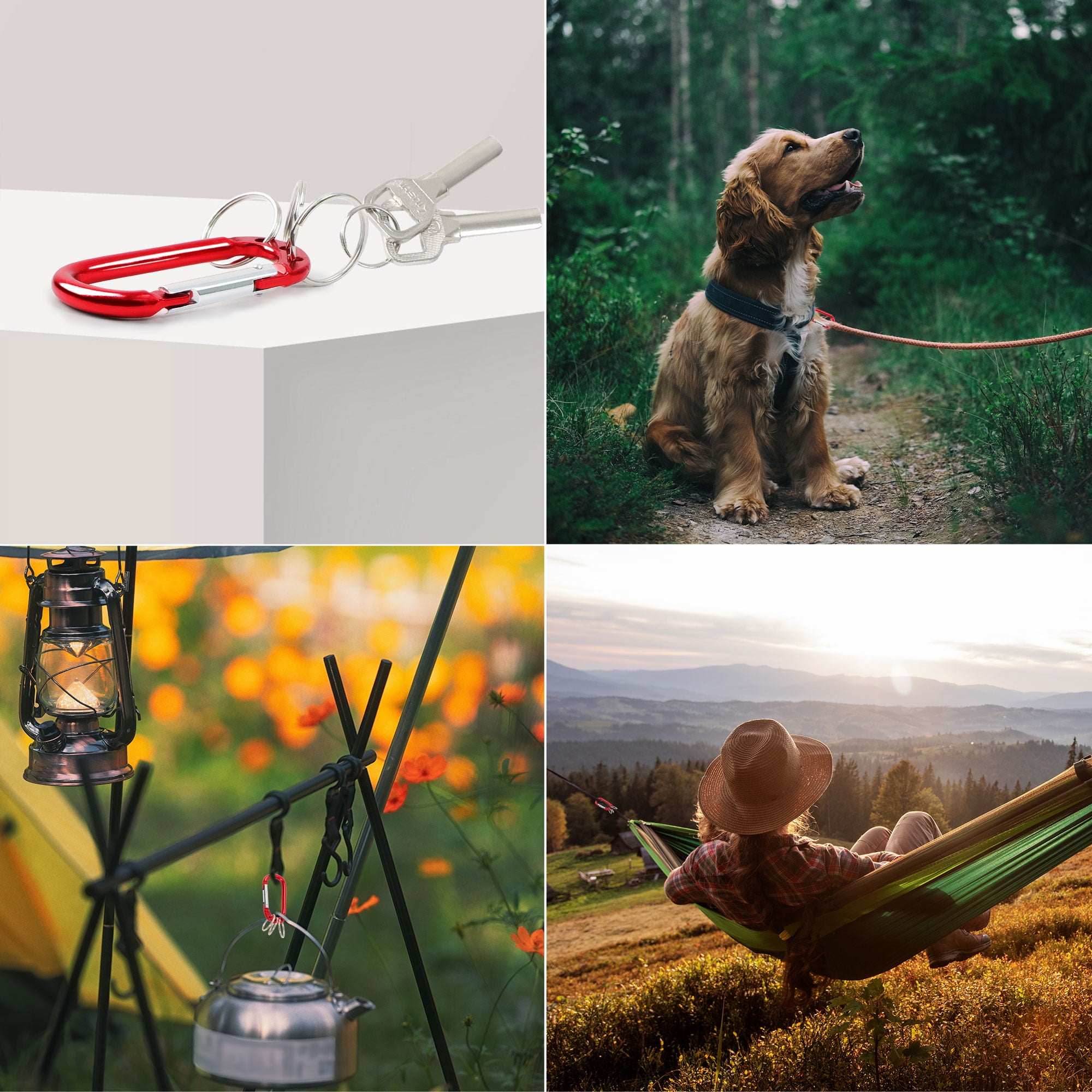 Unique Bargains D Ring Carabiners Clip Metal Spring Snap Hook with 3 Key Ring