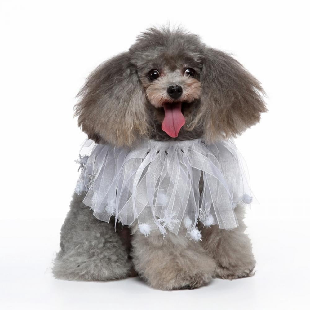 fancy poodle collars