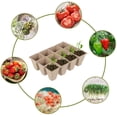 thumbnail image 2 of Muyoka Paquete de 6 bandejas de inicio de plántulas biodegradables, con etiquetas de plantas de 6 piezas para jardines, parches de vegetales, frutas, viveros e invernaderos, biodegradables compostable Muyoka Hogar, 2 of 7