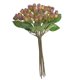 thumbnail image 1 of 7 / Ramo de Artificial Amarillo Sunnimix Frutas artificiales de granada, 1 of 8
