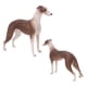thumbnail image 4 of Simulación de decoración de galgo, modelo de galgo marrón de simulación, adornos de modelos de galgo, modelo de galgo de juguete, salida de alta intensidad, 4 of 9