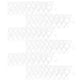 thumbnail image 4 of Student Sericulture Nets 6Pack for in Educational Activities 8.7×5.9×3.5in Portable Design, 4 of 5