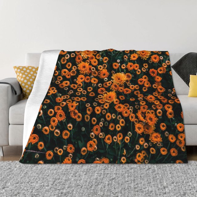 Balery Daisies Manta de Franela con Dibujo, Lujo Ultra Suave y Cálido, Antipelusa y Resistente a las Arrugas para Cama, Sofá, Camping -80"x60"