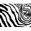 Pack of 1, Zebra Stripes Wrapping Paper 24" x 417', Half Ream Roll for Celebration, Party, Holiday, Birthday and Events, Made in USA