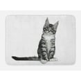 thumbnail image 1 of Kitty Bath Mat, Pattern of Single Animal Staring Straight into the Camera, Plush Bathroom Decor Mat with Non Slip Backing, 29.5" X 17.5", Charcoal Grey Pale Taupe, by Ambesonne, 1 of 2