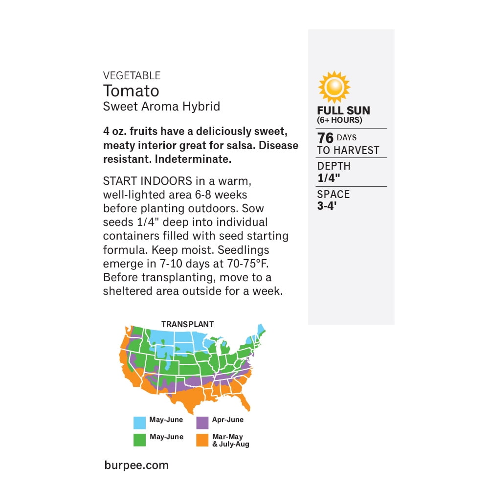 Burpee Sweet Aroma Hybrid Tomato Seed, Annual Vegetable, Full Sun