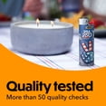 thumbnail image 5 of BIC Maxi Pocket Lighters, Special Edition  250th Anniversary, 8-Pack, 5 of 11