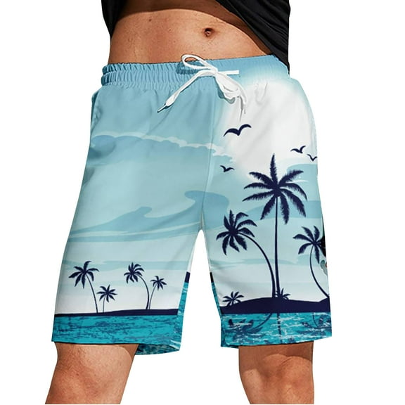 Ramiter Shorts for Men Men's Summer Printed Beach Short Casual Loose Fashion Shorts Loose Tether Pocket Board Summer Soft Shorts Light Blue,2XL