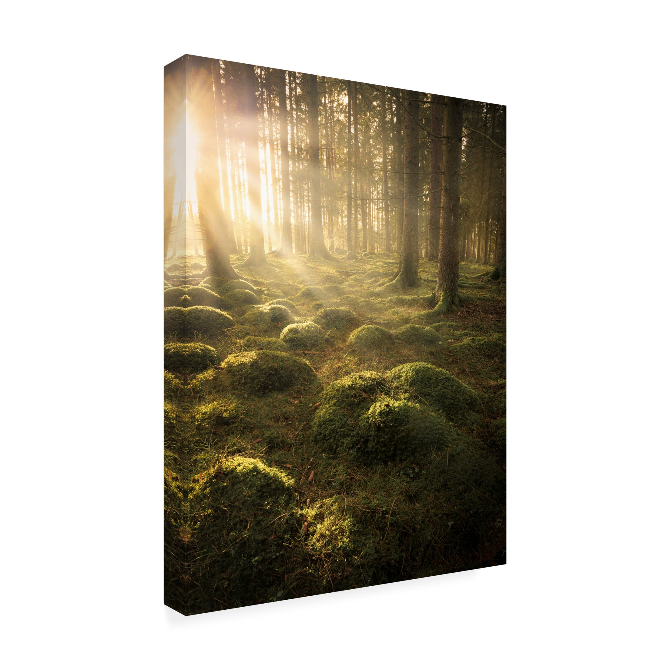 Canvas Wall Art - Christian Lindsten 'In The Woods' Wall Art for Living Room, Bedroom, or Office Décor by Trademark Fine Art - 35 x 47 Inches