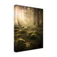 thumbnail image 4 of Canvas Wall Art - Christian Lindsten 'In The Woods' Wall Art for Living Room, Bedroom, or Office Décor by Trademark Fine Art - 14 x 19 Inches, 4 of 4