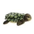 thumbnail image 2 of Aurora - Medium Green Flopsie - 12\" Sea Turtle - Adorable Stuffed Animal, 2 of 5