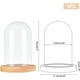 thumbnail image 2 of Cúpula de cristal con base de madera maciza. Vitrina transparente., 2 of 7