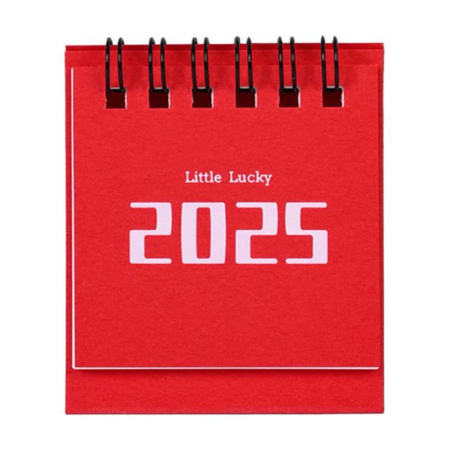 SSRoirvbb Creative Standing Flip Calendar 2025,2025 Desk Calendar,Pocket Desktop Calendar with Memo Pages & Blank Blocks,Desktop Standing Mini Desk Calendar Planner for Home,Office,School R7L22