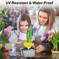 thumbnail image 5 of 36 Pack Odorless Yellow Sticky Traps, Fruit Fly Fungus Gnat Sticky Bug Catcher to Protect Indoor & Outdoor Plants, Non-Toxic Easy to Use, 5 of 5