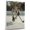 American Leopard Hound, variant on Rat Terrier Dog Playing Ice Hockey Stretched Canvas Size 8x12 – Sports Dog, Perfect for Animal Lovers, Rat Terrier Dog Canvas, Ice Hockey Canvas Size Wall Art