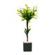 thumbnail image 5 of 2x 1:12 Escala Casa de Muñecas Miniatura Árbol de Plástico Planta Verde para Macarena plantas en miniatura, 5 of 8