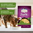 thumbnail image 6 of Rachael Ray Nutrish Savory Bites Yummy Chicken & Veggies Recipe Dry Cat Food, 5 lb. Bag, 6 of 8