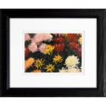 thumbnail image 1 of Timeless Frames 55216 8 x 10 in. Chrysanthemum 1897 Photo Frame, 1 of 1