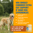 thumbnail image 5 of Dogsee Activet+ Gut Health Chews Probiotics Prebiotics Enzymes Fiber 90 Chews, 5 of 9