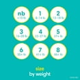 thumbnail image 3 of Pampers Swaddlers Diapers, Size 4 (164 Count), 3 of 5