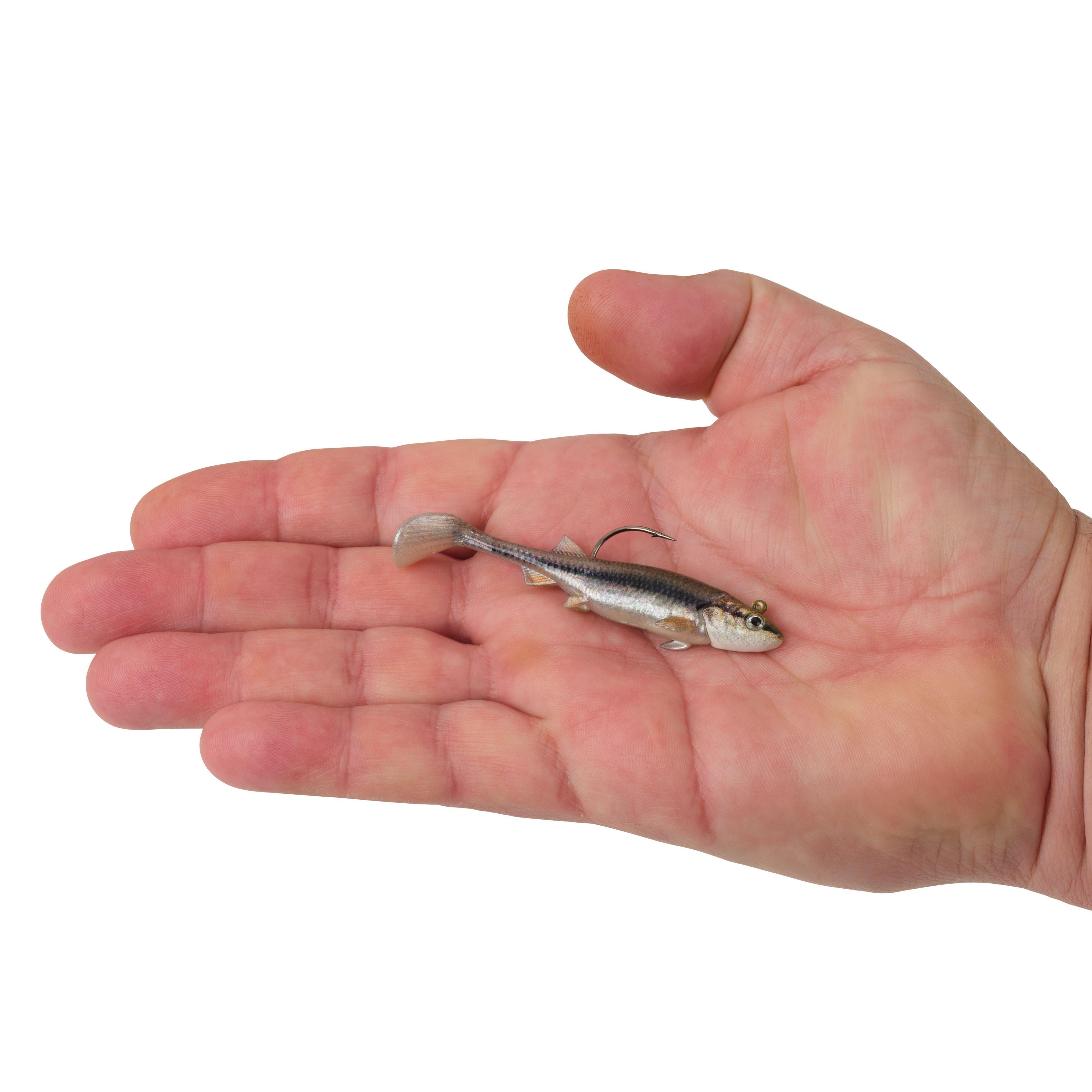 Berkley PowerBait® Minnotator, 3 in, HD Blacknose Shiner