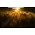 thumbnail image 2 of Krivec, Ales 24x16 White Modern Wood Framed Museum Art Print Titled - Aerial Shot Of An Autumn Forest, 2 of 4