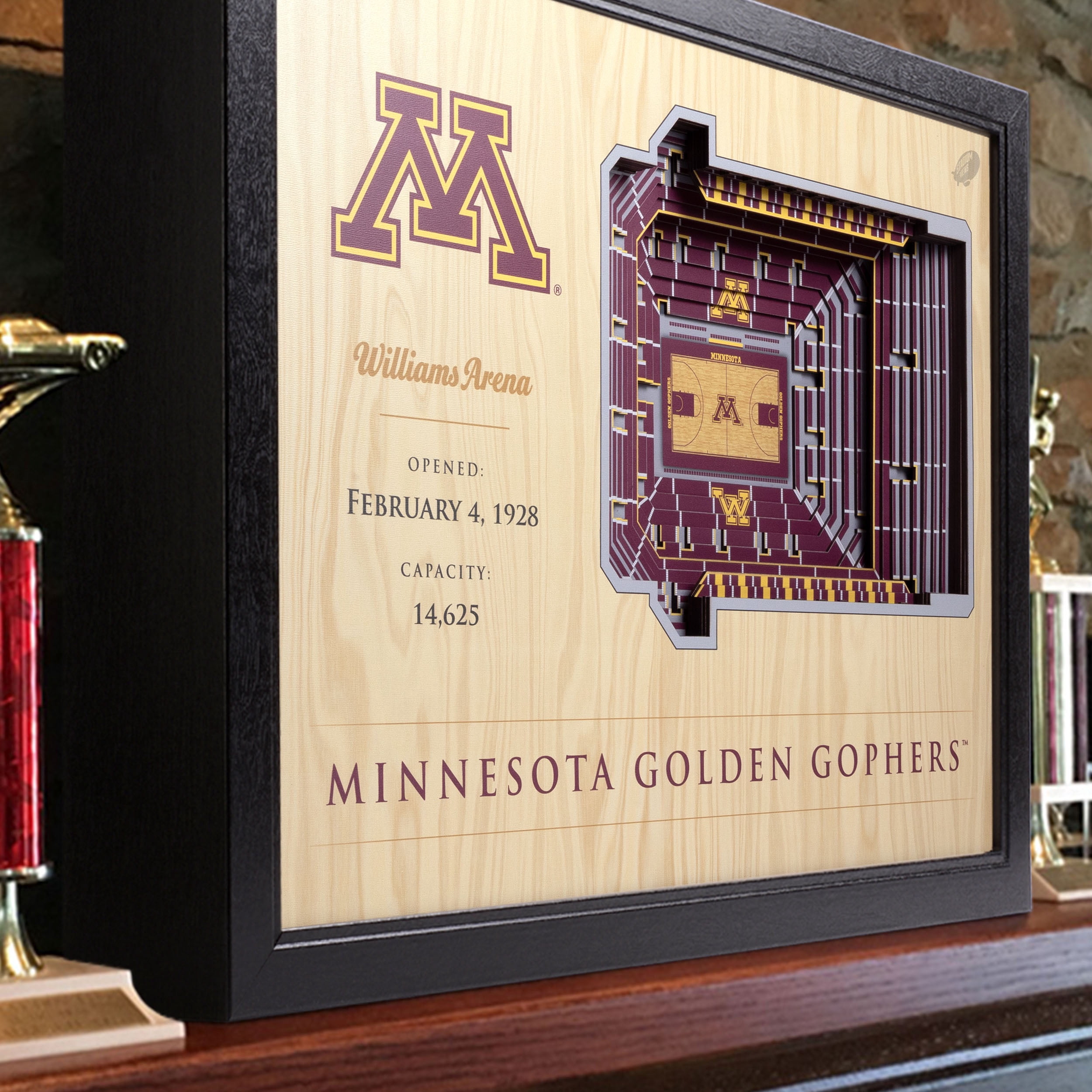 YouTheFan NCAA MN Golden Gophers BB 25-Layer Stadiumview Wall Art