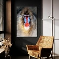 thumbnail image 5 of Epic Art 'Blushing Mandrill' by Robert Campbell, Acrylic Glass Wall Art, 24"x36", 5 of 8