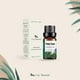 thumbnail image 2 of Aceites Esenciales Aromaterapia Uva Natural Pino Conjunto con Caja de Regalo Exquisita 10 ML, 2 of 6