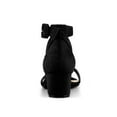 thumbnail image 2 of BLISSFUL STEP Women's Sandals Block Heels Ankle Strap High Heels Sandals Black 6, 2 of 7