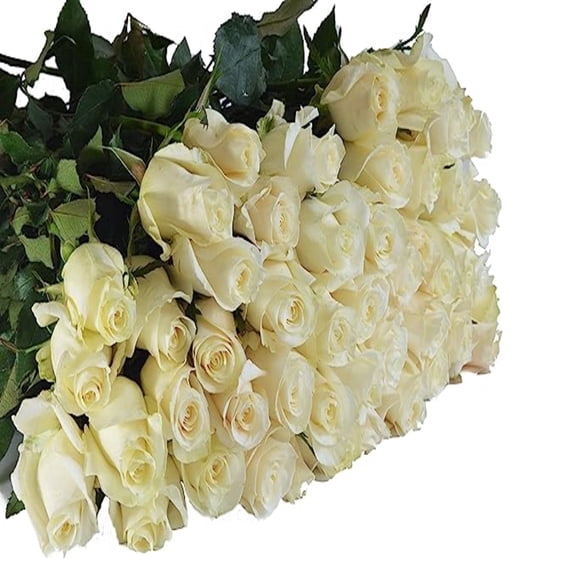 KaBloom :100 White Roses, Next-Day Delivery, Gift for Every Occasion.