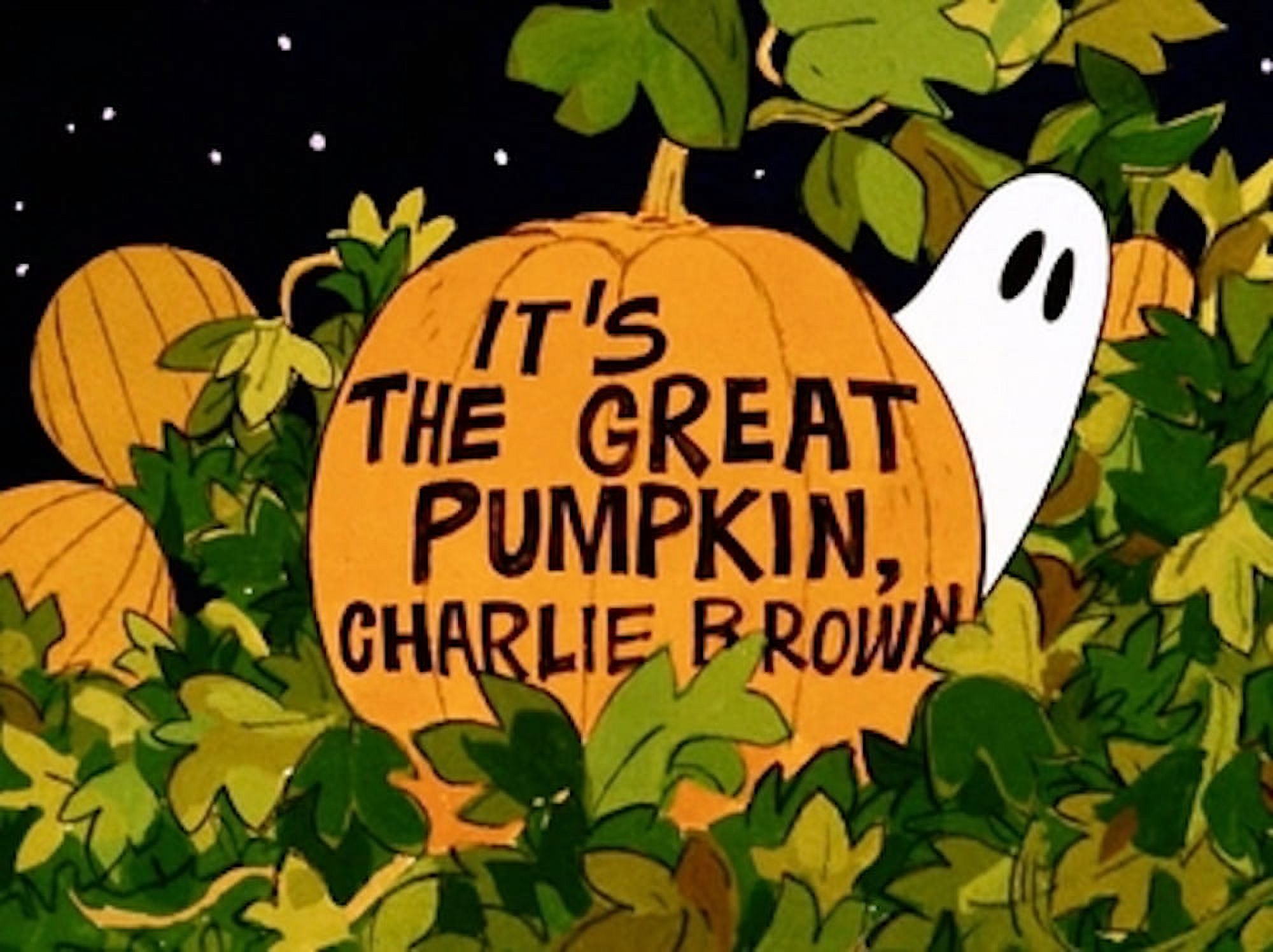 It's the Great Pumpkin, Charlie Brown (DVD), Warner Home Video, Animation - image 3 of 9