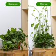 thumbnail image 4 of EIMELI 50Pcs Climbing Plant Fixture Clips Garden Vines Sticky Clips Wall Vines Fixed Holder, 4 of 9