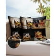 thumbnail image 6 of Pack of 2 Outdoor Pillow Covers, Whisky Glass Ice Cubes Wood Grain Pattern Waterproof Square Throw Pillowcase Cushion Decorative Pillow Covers for Couch Patio Tent, 18x18 in, 6 of 6