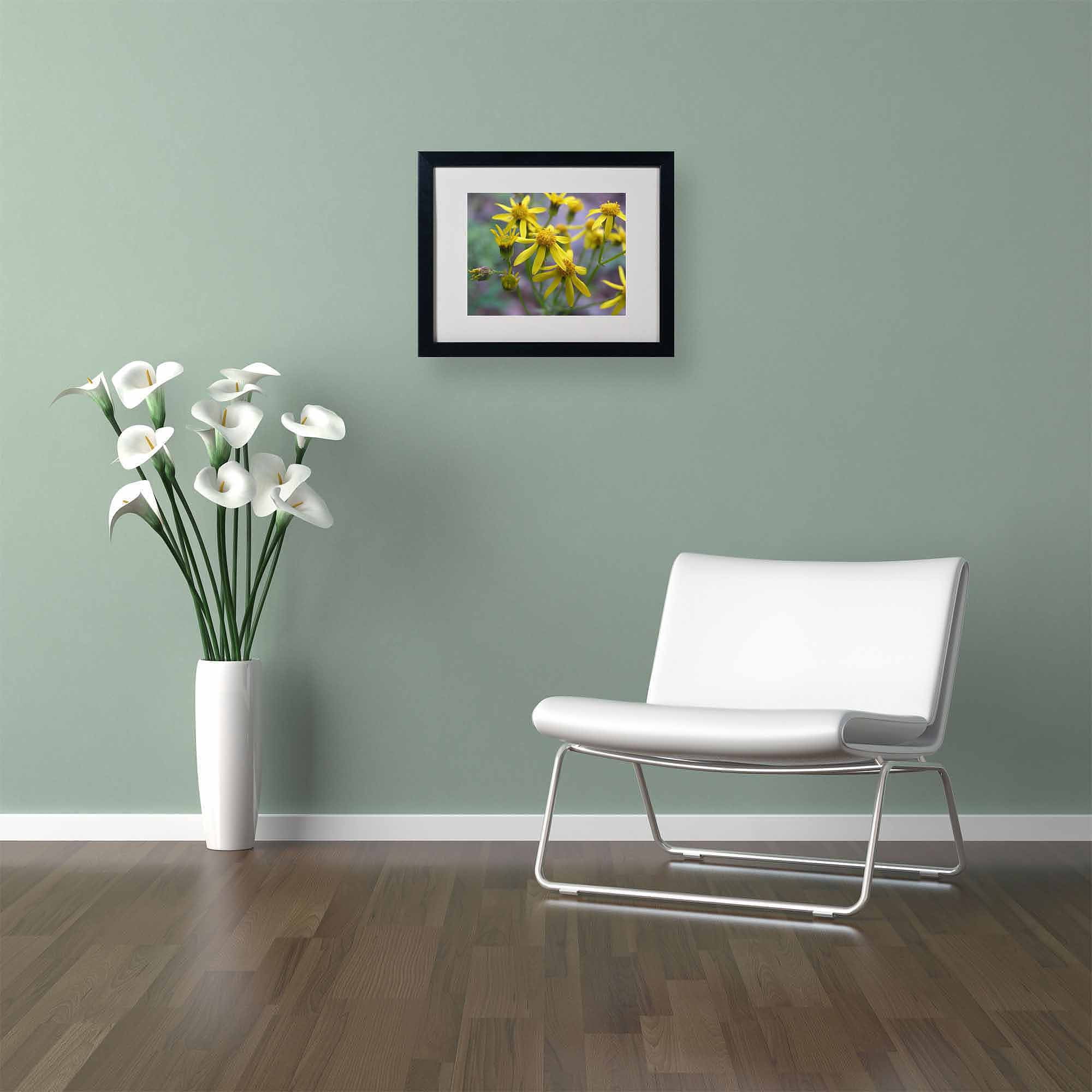 Trademark Fine Art "Intriguing Dynasty" Canvas Art by Monica Fleet, Black Frame