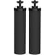 thumbnail image 1 of 2.25 X 9.75 Replacement Water Filters 2 Pack Activated Carbon, 1 of 4