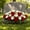 Red, variant on Headstone Flower Saddle for Grave,26x14" Artificial Cemetery Flowers Rose,Weatherproof Memorial Day Cemetery Flowers Silk Funeral Sympathy Floral Arrangements for Outdoor