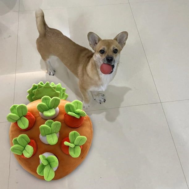 Creative Dog Vegetable Plush Toy Gift,Vegetable Fruit snuffle pad,Pet Interaction Pull The Fruit Stuffed Toy,Molars Toy for dogs and cats naranja perfecl Muñeca de zanahoria