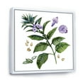 thumbnail image 3 of Designart 'Purple Sesame Flowers WIth Green Leaves On White' Traditional Framed Canvas Wall Art Print, 3 of 5