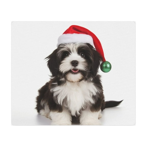 DistinctInk Mouse Pad - 1/4" Foam Rubber - Havanese