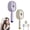 A+C, variant on Electric Spray & Massage Hair Brush, 5 in 1 Air Cushion Brush, Red Light Mist Scalp Massager for Home Salon