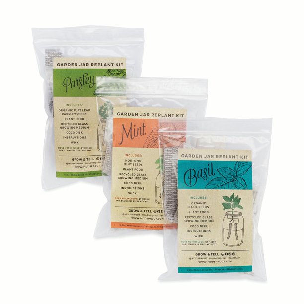 Modern Sprout Mix Colored Mason Jar Self Watering Organic Herb