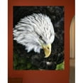 thumbnail image 2 of Wallhogs Batie's Bald Eagle Glossy Poster, 2 of 2