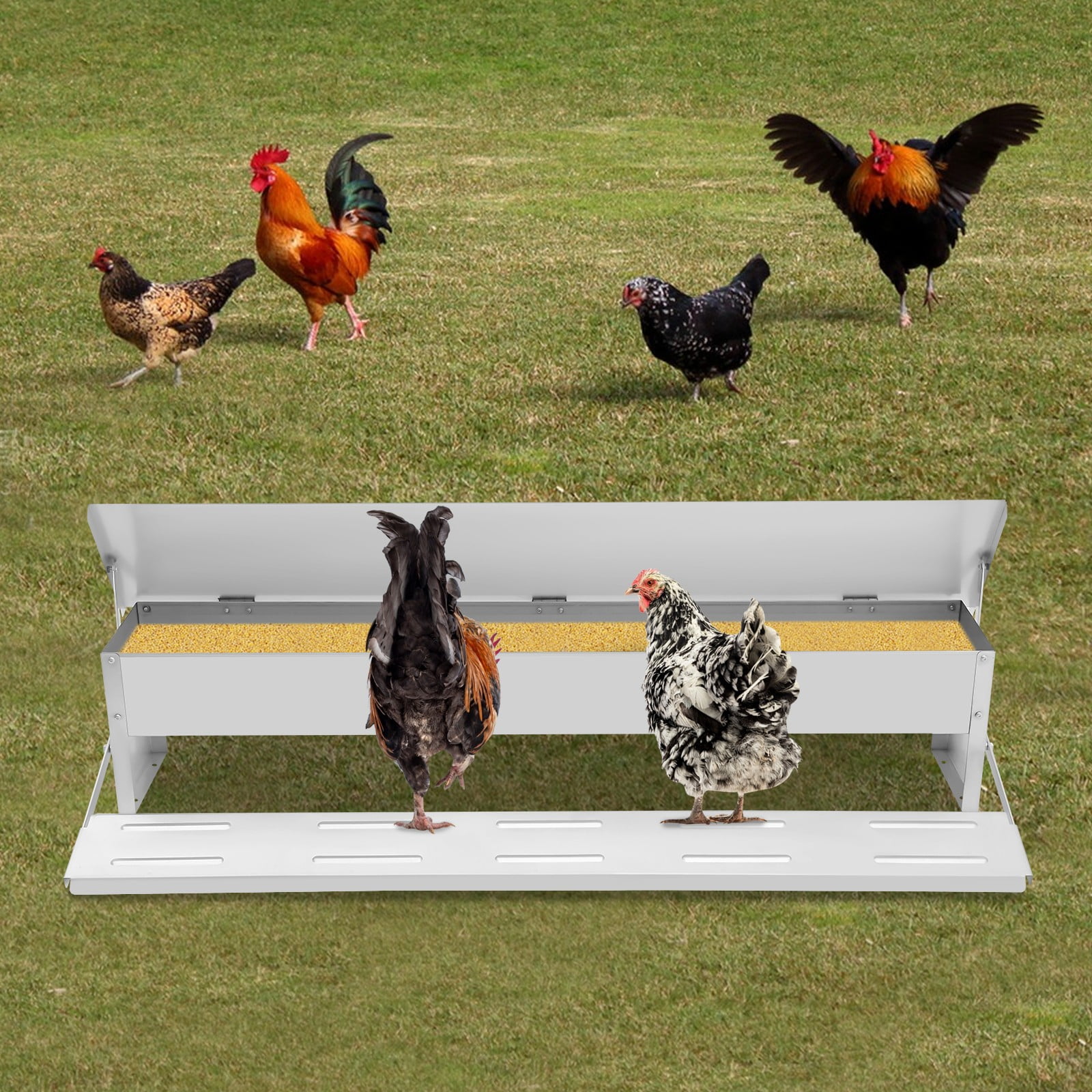 Automatic Chicken Feeder 22lbs, Galvanized Steel Poultry Trough with Anti-Rodent Lid & Non-Slip Pedals, Feed-Saving Dispenser for Chickens, Ducks, Geese