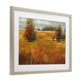 thumbnail image 3 of Stupell Industries October Light Countryside Birch Framed Print Under Glass, design by Carol Rowan, 3 of 9