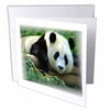 Giant Panda Bear will charm you heart 12 Greeting Cards with envelopes gc-110976-2