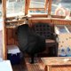 thumbnail image 1 of KAKOWELY Protector Para Asiento De Pontoon En Tela Oxford Negro Para Protección Exterior Duradera, 1 of 8