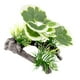 thumbnail image 4 of Decoraciones de plantas de árbol para acuario, plantas artificiales de PP para acuario, plantas de acuario Estilo D, 4 of 9