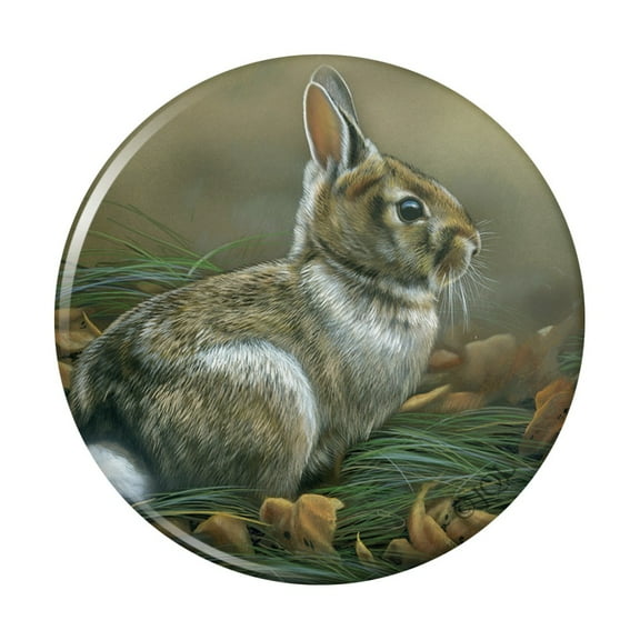 Cottontail Rabbit Bunny Kitchen Refrigerator Locker Button Magnet