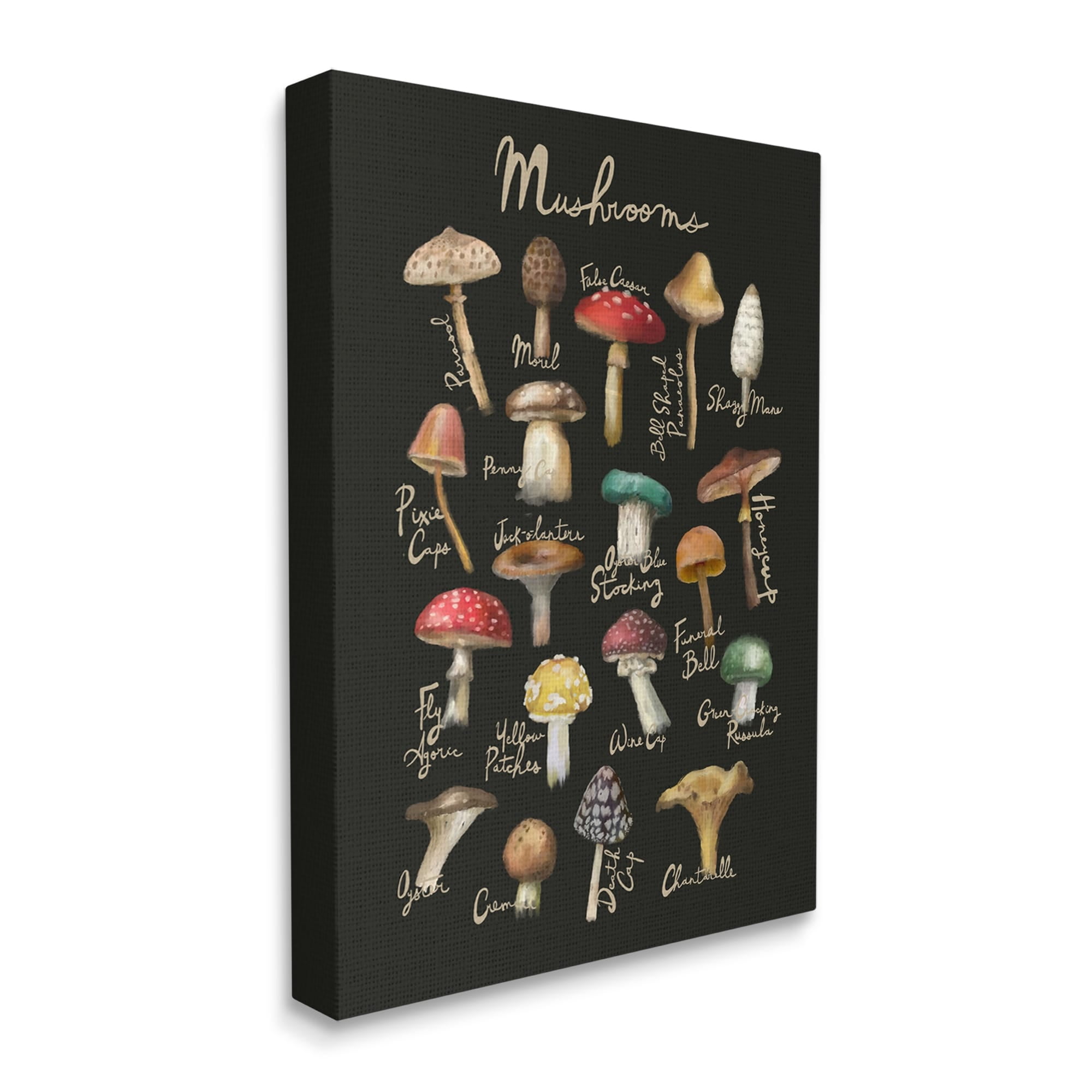 Stupell Industries Varied Mushrooms Kitchen Chart Landscape Painting Gallery Wrapped Canvas Print Wall Art